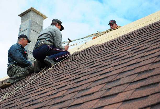 Best Roof Maintenance Services  in Ponderay, ID